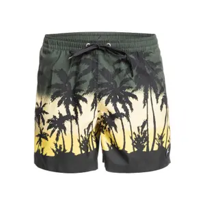 Short de bain Quiksilver Everyday Paradise Volley image-0