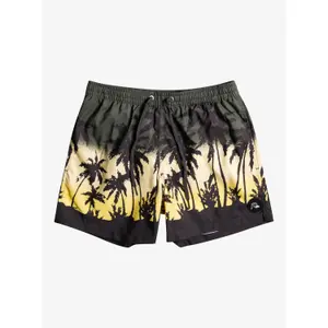 Short de bain Quiksilver Everyday Paradise Volley image-1