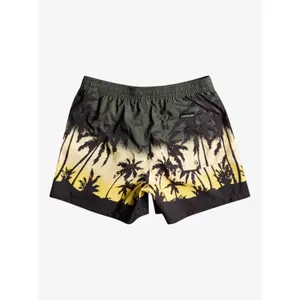 Short de bain Quiksilver Everyday Paradise Volley image-5