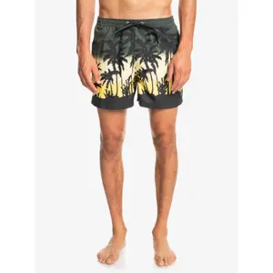 Short de bain Quiksilver Everyday Paradise Volley image-2