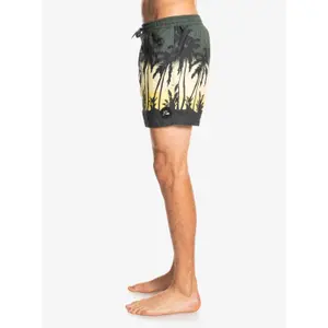 Short de bain Quiksilver Everyday Paradise Volley image-4