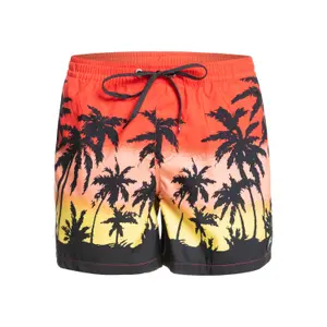 Short de bain Quiksilver Everyday Paradise Volley image-0