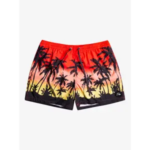 Short de bain Quiksilver Everyday Paradise Volley image-1