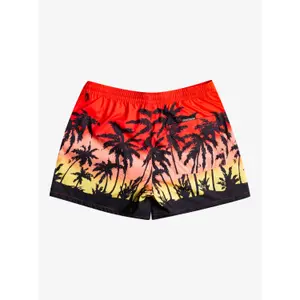 Short de bain Quiksilver Everyday Paradise Volley image-5