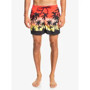 Short de bain Quiksilver Everyday Paradise Volley image-2