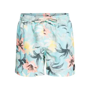 Short de bain Quiksilver Everyday Garden Path Volley image-0