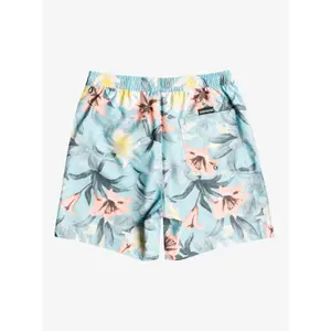 Short de bain Quiksilver Everyday Garden Path Volley image-6
