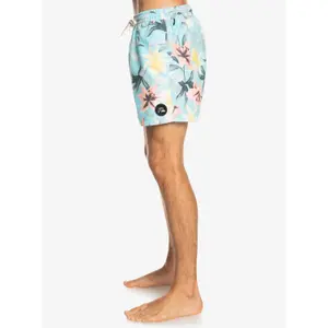 Short de bain Quiksilver Everyday Garden Path Volley image-5