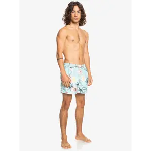 Short de bain Quiksilver Everyday Garden Path Volley image-4