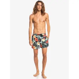 Short de bain Quiksilver Everyday Garden Path Volley image-2