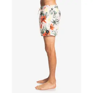 Short de bain Quiksilver Everyday Garden Path Volley image-4