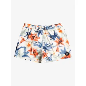 Short de bain Quiksilver Everyday Garden Path Volley image-1