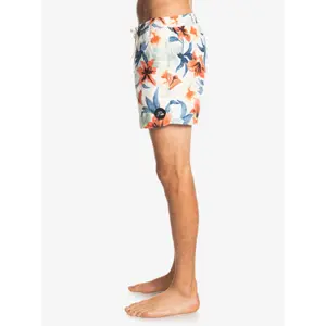 Short de bain Quiksilver Everyday Garden Path Volley image-4