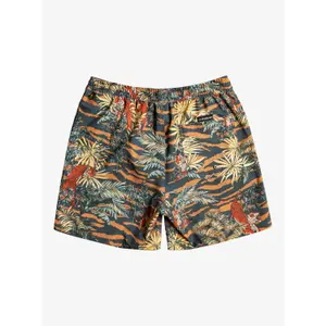 Short de bain Quiksilver Ocean Mix Str Volley 17 image-5