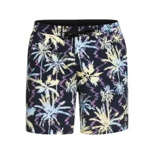 Short de bain Quiksilver Ocean Mix Str Volley 17 image-0