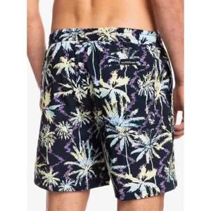 Short de bain Quiksilver Ocean Mix Str Volley 17 image-6