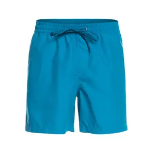 Short de bain Quiksilver Everyday Vert Volley image-0