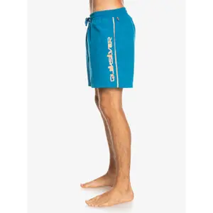 Short de bain Quiksilver Everyday Vert Volley image-4