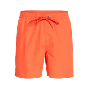Short de bain Quiksilver Everyday Vert Volley 16 image-0
