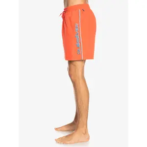 Short de bain Quiksilver Everyday Vert Volley 16 image-5