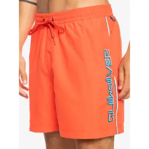 Short de bain Quiksilver Everyday Vert Volley 16 image-4