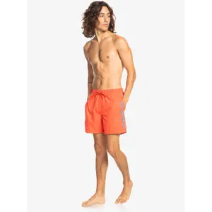 Short de bain Quiksilver Everyday Vert Volley 16 image-3