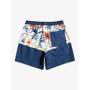 Badshorts Quiksilver Ocean Division Str Volley image-5