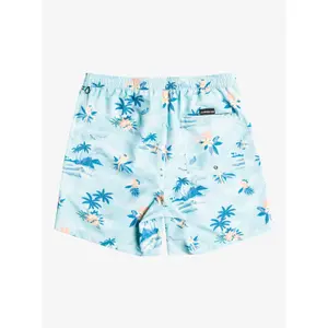 Short de bain Quiksilver Everyday Scenic Volley image-1
