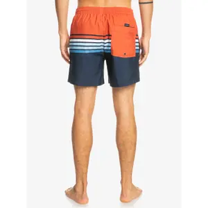 Short de bain Quiksilver Everyday Swell Vision Vl image-5