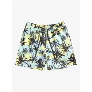 Short de bain Quiksilver Everyday Mix Volley 17 image-1