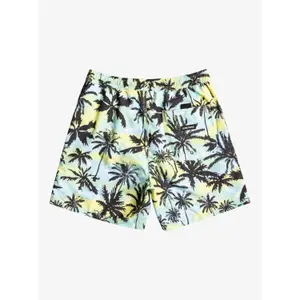 Short de bain Quiksilver Everyday Mix Volley 17 image-6