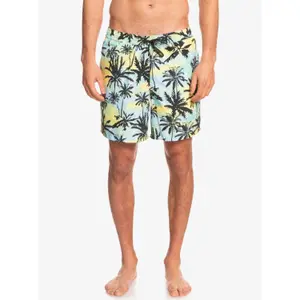 Short de bain Quiksilver Everyday Mix Volley 17 image-2