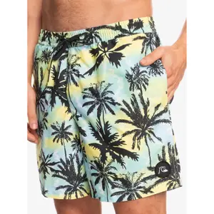 Short de bain Quiksilver Everyday Mix Volley 17 image-4