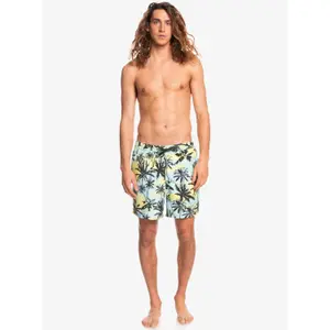 Short de bain Quiksilver Everyday Mix Volley 17 image-3