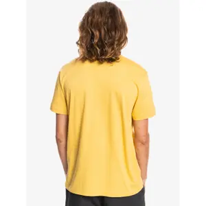 Polo Quiksilver Essentials image-6