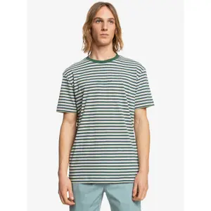 T-shirt Quiksilver Shred That image-1