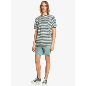 T-shirt Quiksilver Shred That image-2