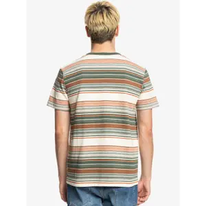 T-shirt Quiksilver Ben Tre image-5