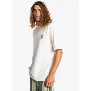 T-shirt Quiksilver Rubi image-5