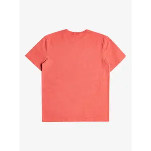 T-shirt teinture naturelle Quiksilver image-3