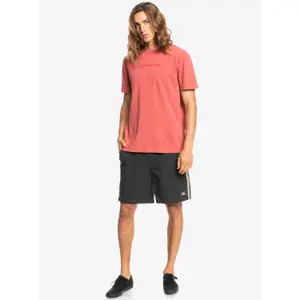 T-shirt teinture naturelle Quiksilver image-2