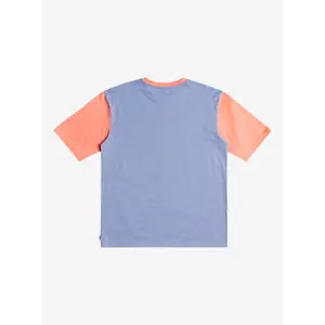 T-shirt Quiksilver Master Plan image-3