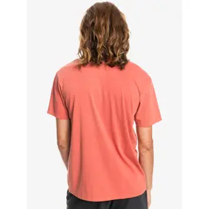 Polo teinture naturelle Quiksilver image-5