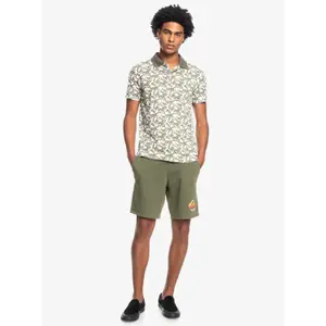 Polo Quiksilver Minimo Aop image-5