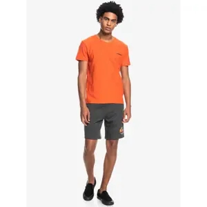T-shirt col en V flammé Quiksilver image-1