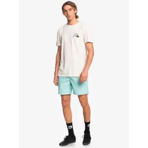 Short Quiksilver Taxer image-2