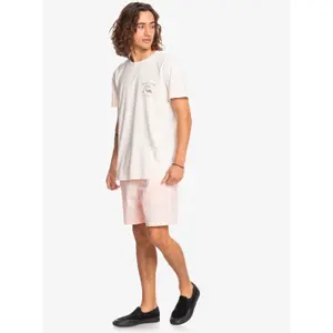 Short Quiksilver Taxer image-6