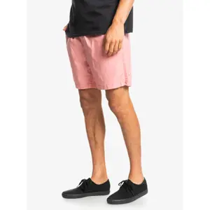 Short Quiksilver Taxer image-5