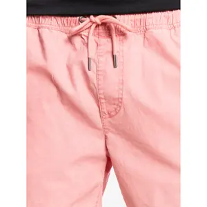 Short Quiksilver Taxer image-6