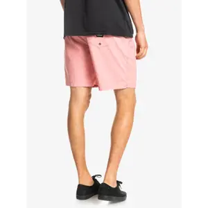 Short Quiksilver Taxer image-4